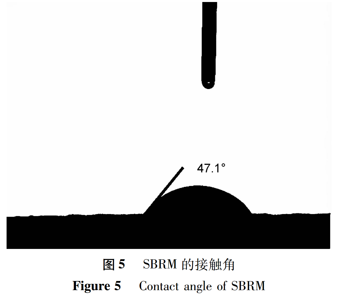 Fig 5 图5.png